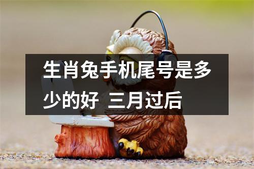 生肖兔手机尾号是多少的好  三月过后