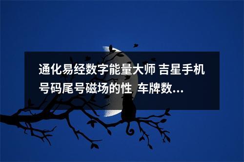 通化易经数字能量大师 吉星手机号码尾号磁场的性 车牌数字4个与3个区别 11 66 99这种结