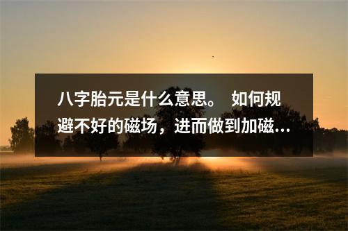 八字胎元是什么意思。  如何规避不好的磁场，进而做到加磁加运？